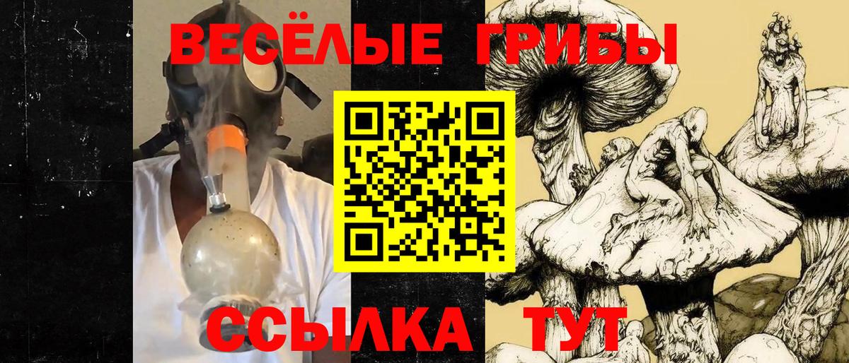 Псилоцибиновые грибы Psilocybe Гуково