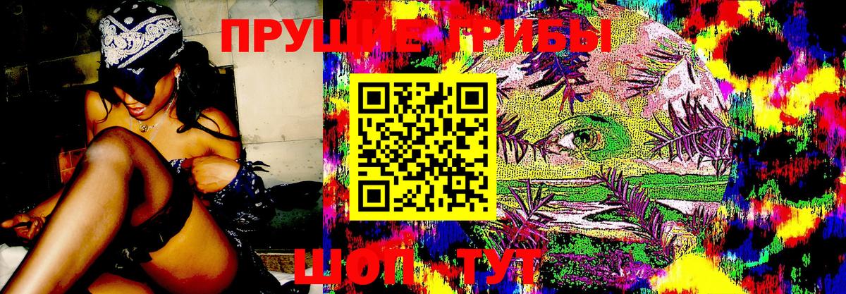Гуково  Галлюциногенные грибы ЛСД  Вход с VPN 